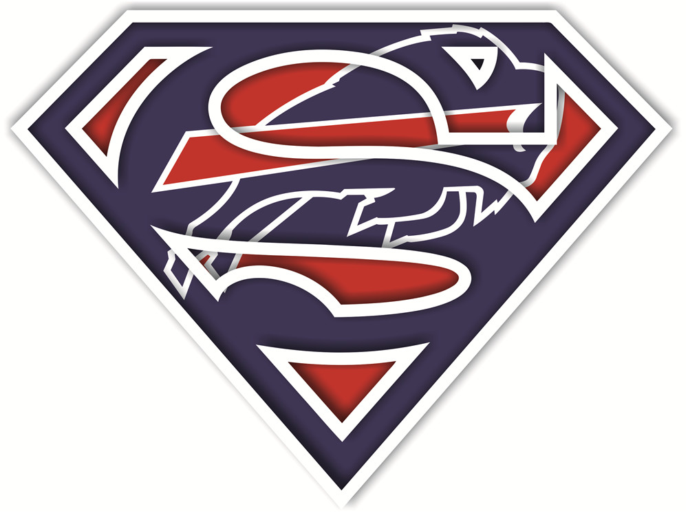 Buffalo Bills superman logos iron on heat transfer...